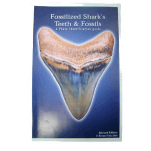 Shark Tooth Book