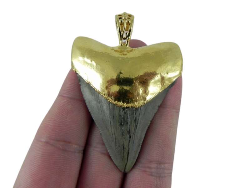 megalodon shark tooth necklace