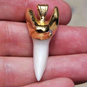 Gold Plated Modern Mako Tooth Pendant