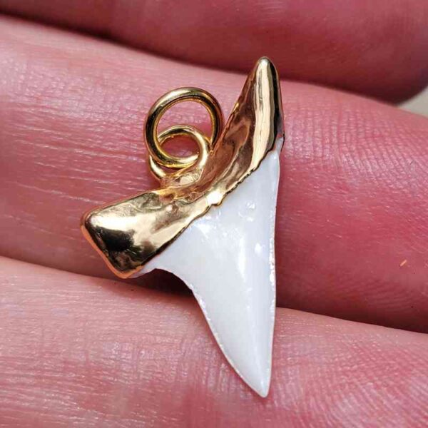 Gold Platted Mako Tooth