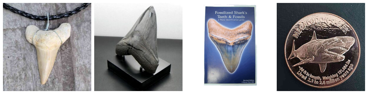 JT's Sharks Teeth Accessories