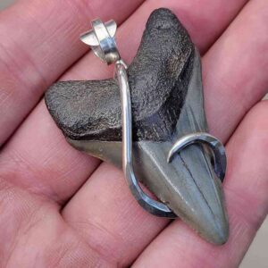 Silver Wrapped Megalodon Shark Tooth