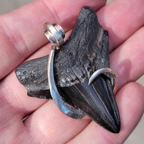 Silver Wrapped Megalodon Shark Tooth