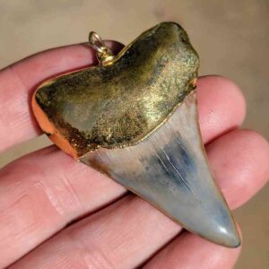 Gold Platted Mako Tooth