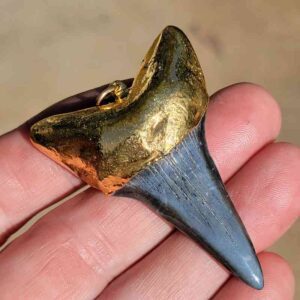 Gold Platted Mako Tooth