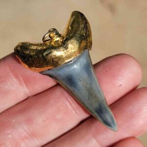Gold Platted Mako Tooth