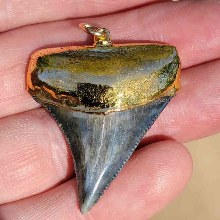 18k Gold Fossil Great White Shark Tooth Pendant| JTSSharksteeth.com