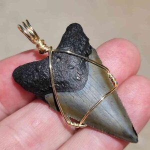 Megalodon Shark Tooth Pendant 