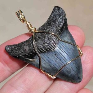 Megalodon Shark Tooth Pendant 