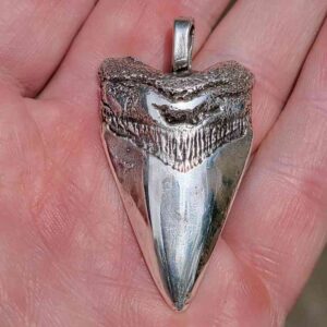 Silver Cast of Megalodon Tooth