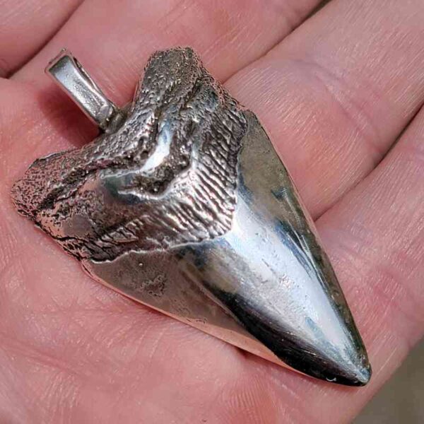 Silver Cast of Megalodon Tooth