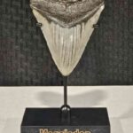 4 inch tip down stand