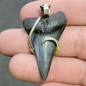 Silver Hook Wrapped  Extinct Great White Shark Tooth Pendant - JTEXTGWSILVERHW-01