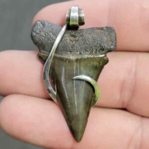Silver Hook Wrapped  Extinct Great White Shark Tooth Pendant - JTEXTGWSILVERHW-04