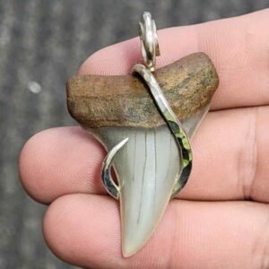 Silver Hook Wrapped  Extinct Great White Shark Tooth Pendant - JTEXTGWSILVERHW-08