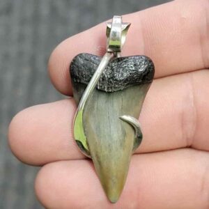 Silver Hook Wrapped  Extinct Great White Shark Tooth Pendant - JTEXTGWSILVERHW-10