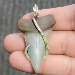 Silver Hook Wrapped  Extinct Great White Shark Tooth Pendant - JTEXTGWSILVERHW-16