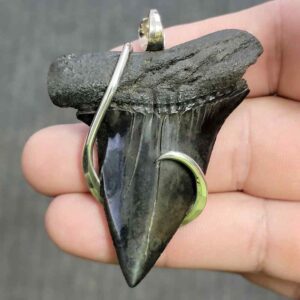 Silver Hook Wrapped  Extinct Great White Shark Tooth Pendant - JTEXTGWSILVERHW-20