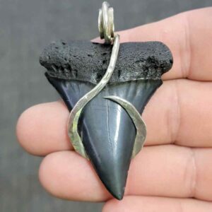 Silver Hook Wrapped  Extinct Great White Shark Tooth Pendant - JTEXTGWSILVERHW-21