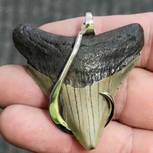 Silver Hook Wrapped Megalodon Tooth - JTMEGSILVERHW-14