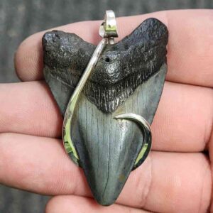 Silver Hook Wrapped Megalodon Tooth - JTMEGSILVERHW-16