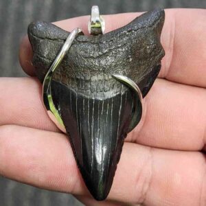 Silver Hook Wrapped Megalodon Tooth - JTMEGSILVERHW-19