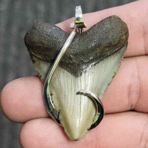 Silver Hook Wrapped Megalodon Tooth - JTMEGSILVERHW-2