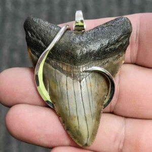 Silver Hook Wrapped Megalodon Tooth - JTMEGSILVERHW-22