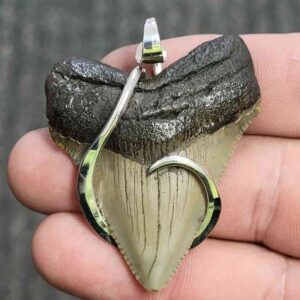 Silver Hook Wrapped Megalodon Tooth - JTMEGSILVERHW-7