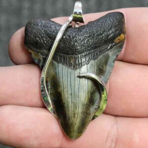 Silver Hook Wrapped Megalodon Tooth - JTMEGSILVERHW-9